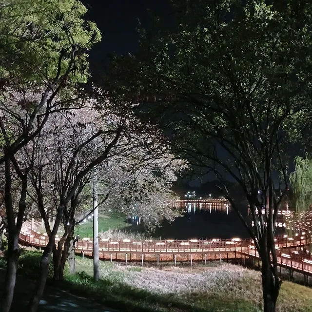 몽포나루