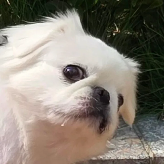 예나선정이딸이에요