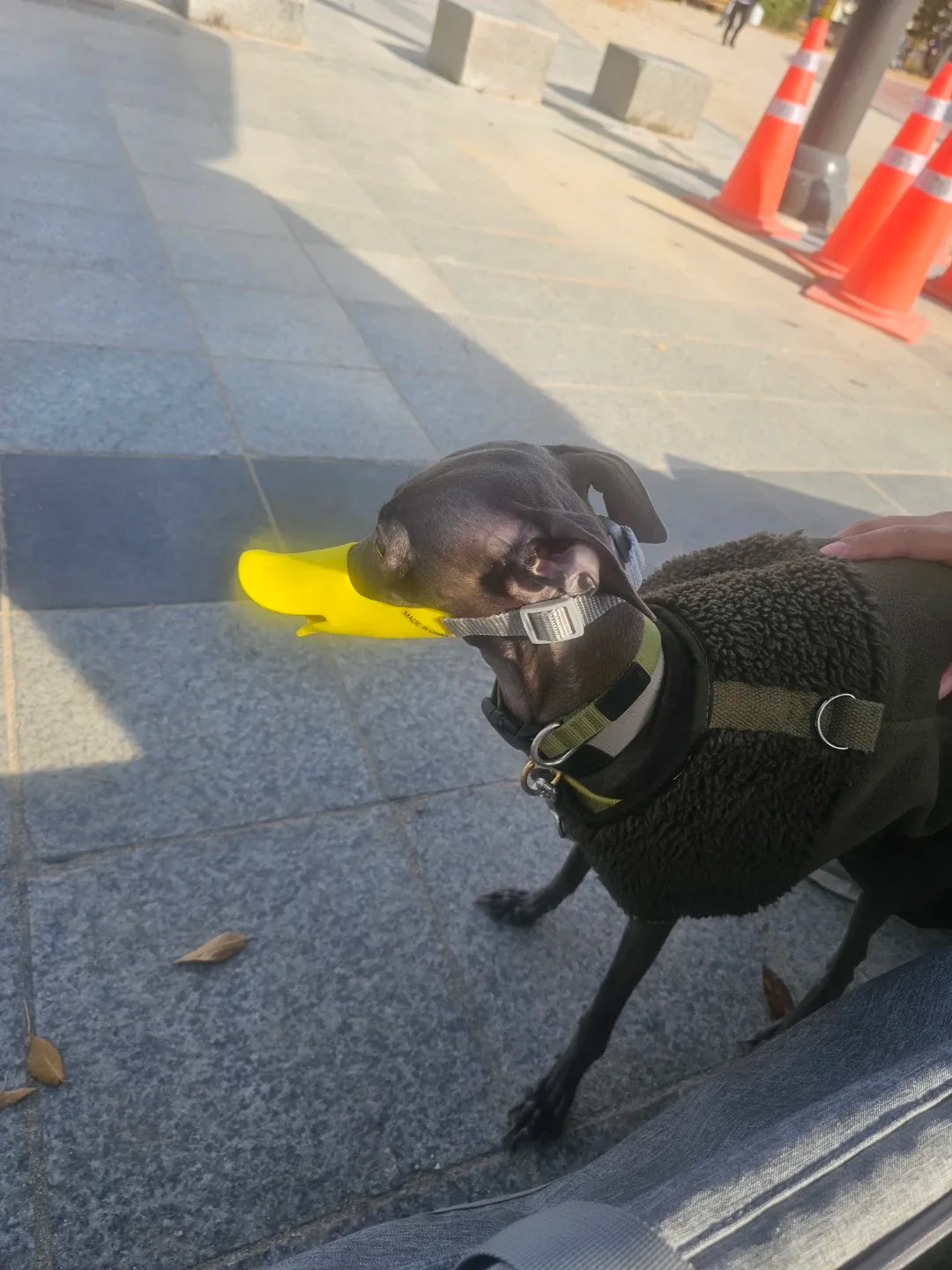따꾸