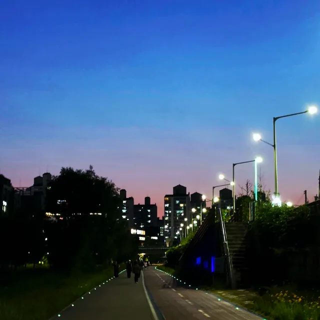 춘천아보카도