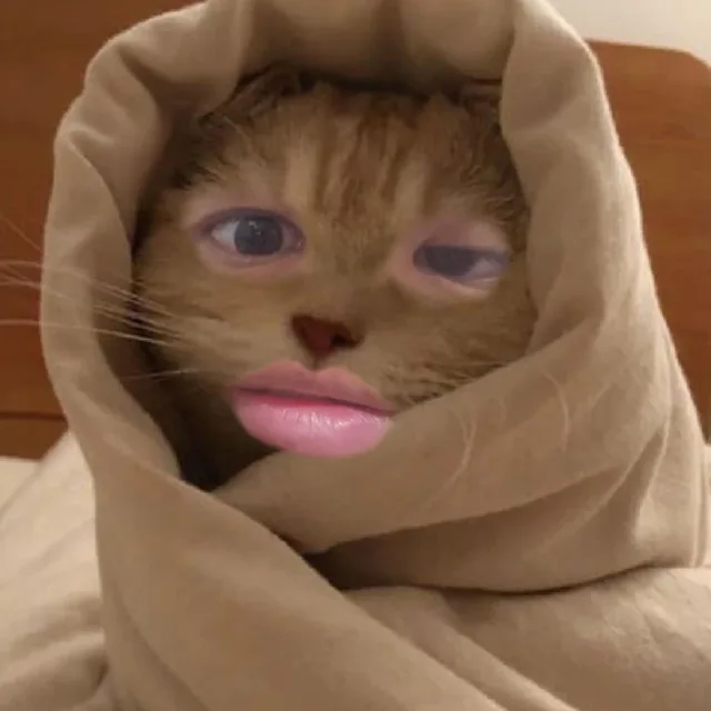 테무안성재