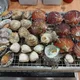 지지네조개마을