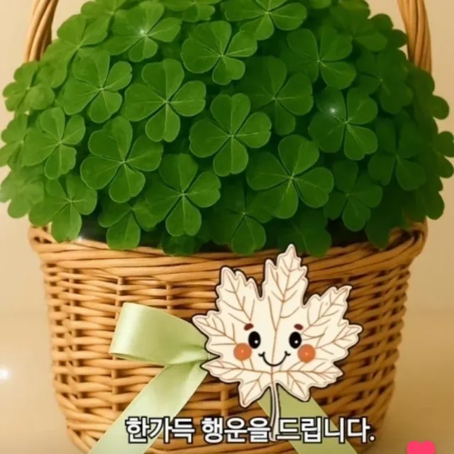 하이
