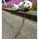여왕폐하