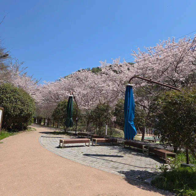 현현맘