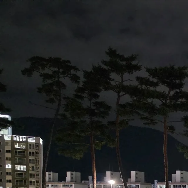 오리