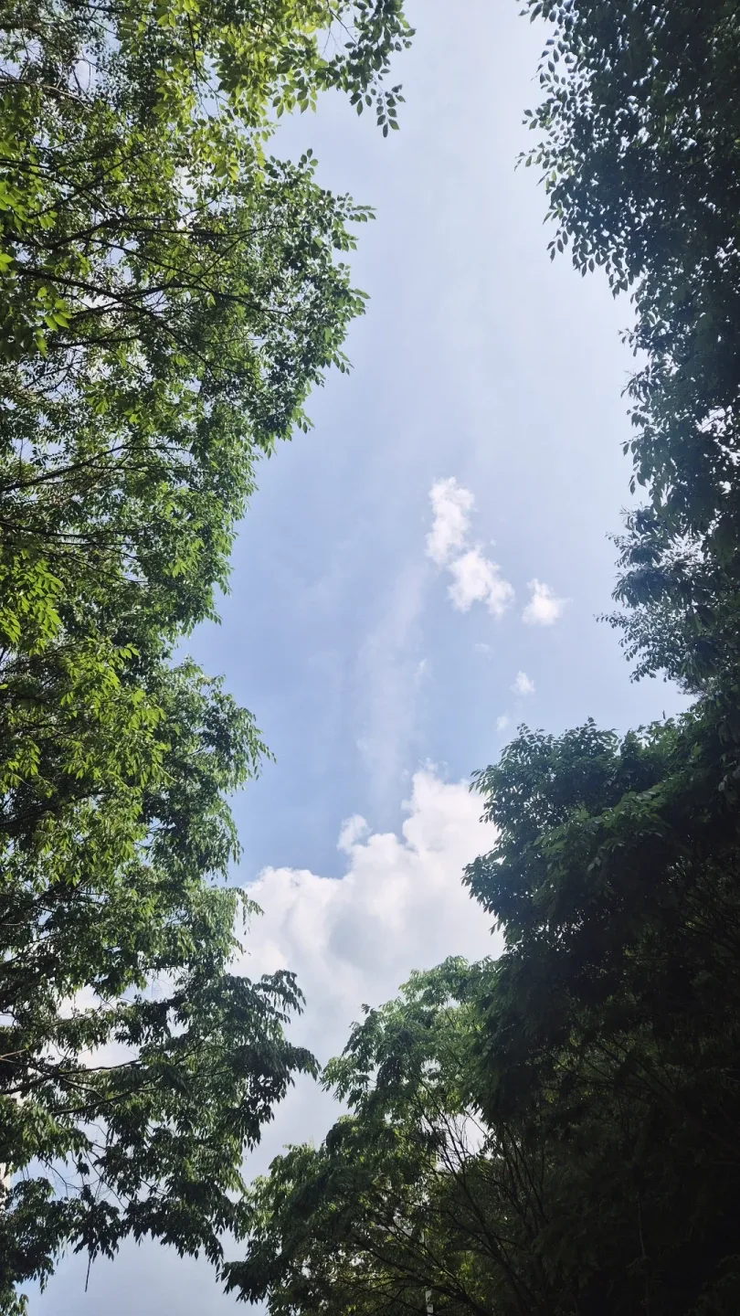 츠바코