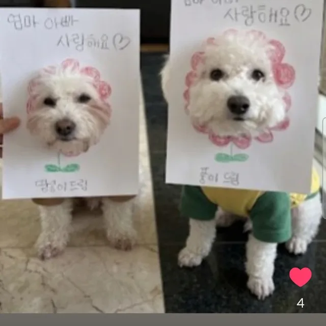 라일락