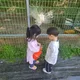 사랑스런콩콩이네