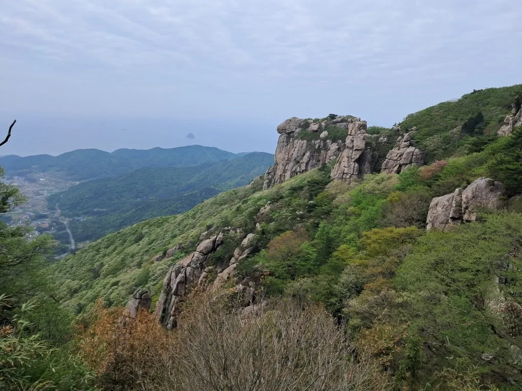 레드정리