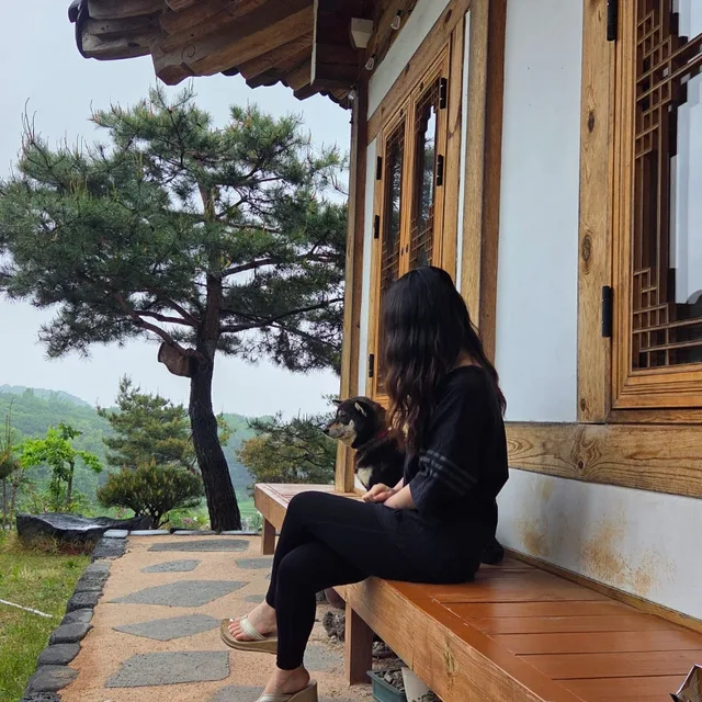 앰양