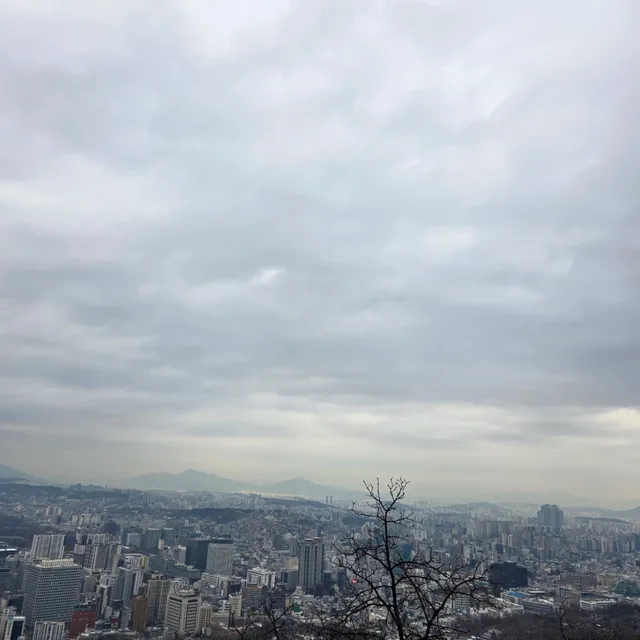 마산의심장