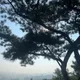 성수