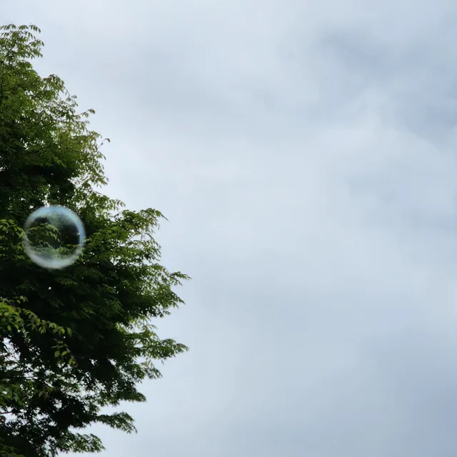 거니