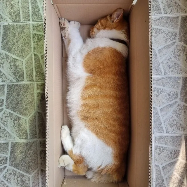 여기서이러시면안됩니다