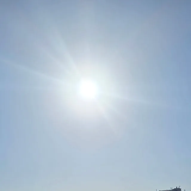 후디후드