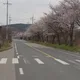 해변살까