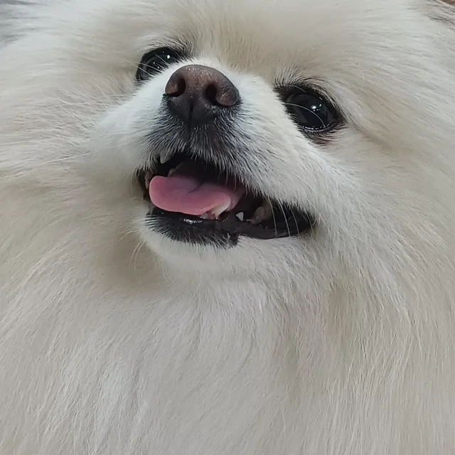 빡사장