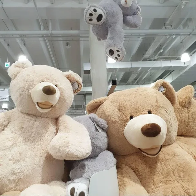 당근은달다