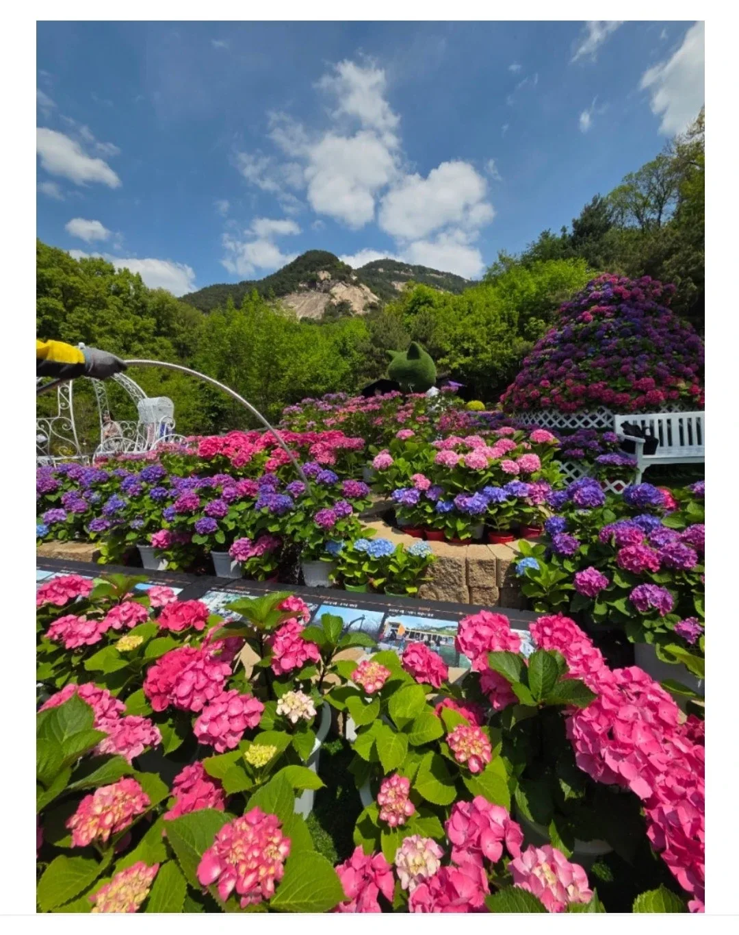 가을햇쌀