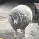 여누