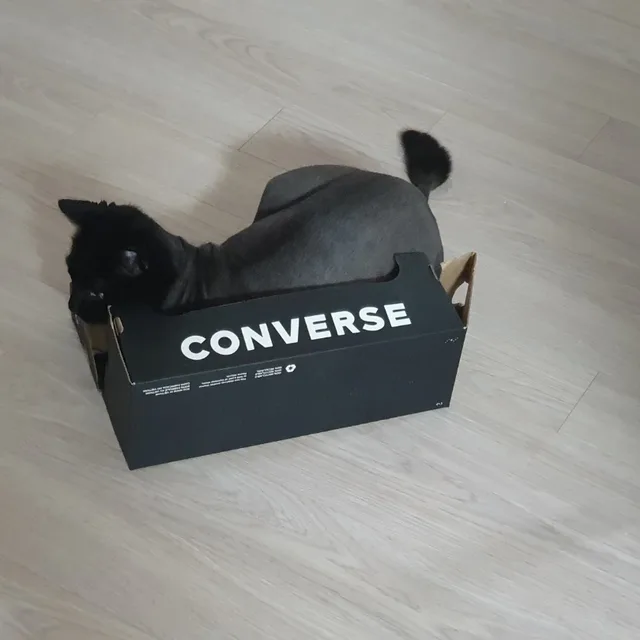 두율마마