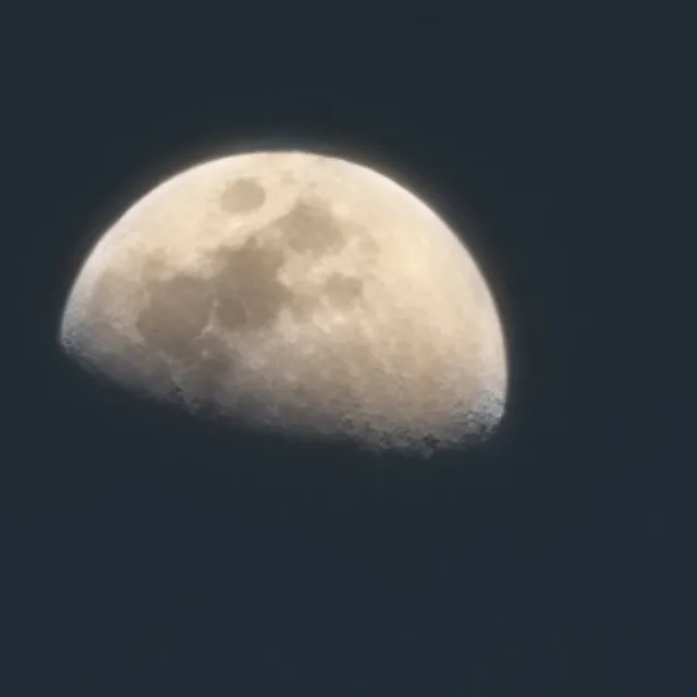 콩나물냉국