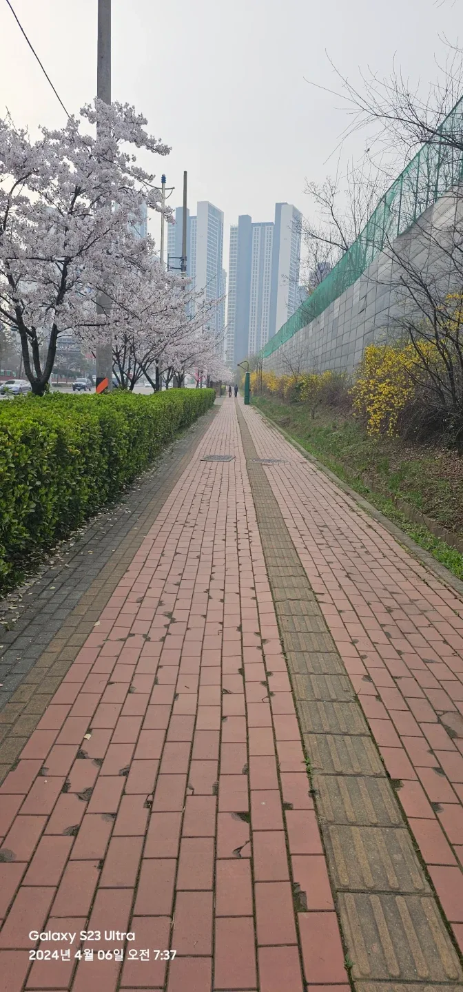 케논