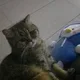 서은맘