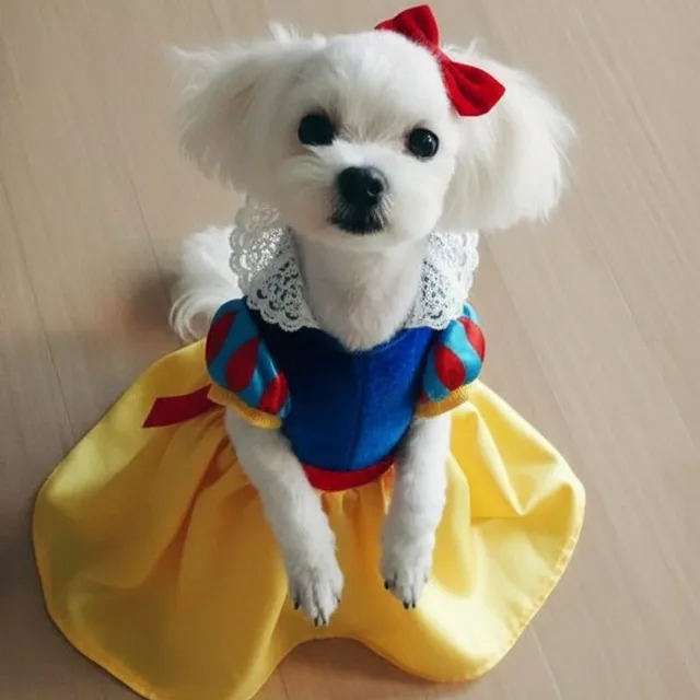 에디