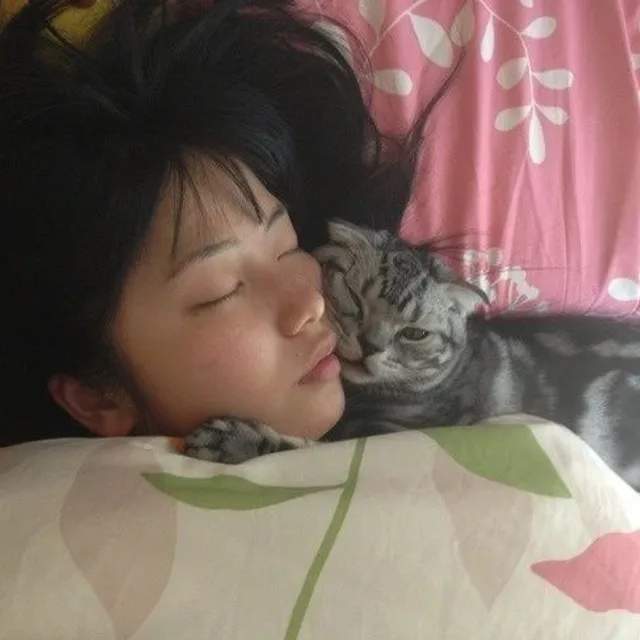 오소이22