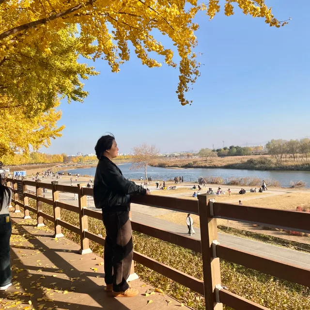 이슬처럼