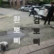 김머메