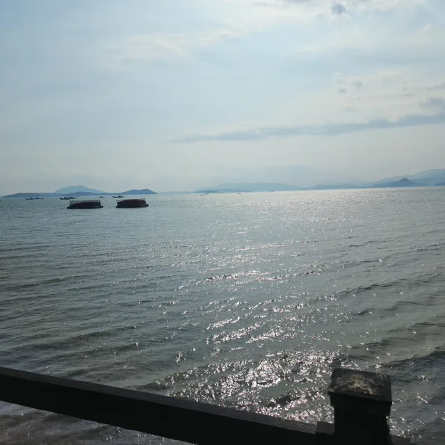 김태남