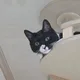 자룐