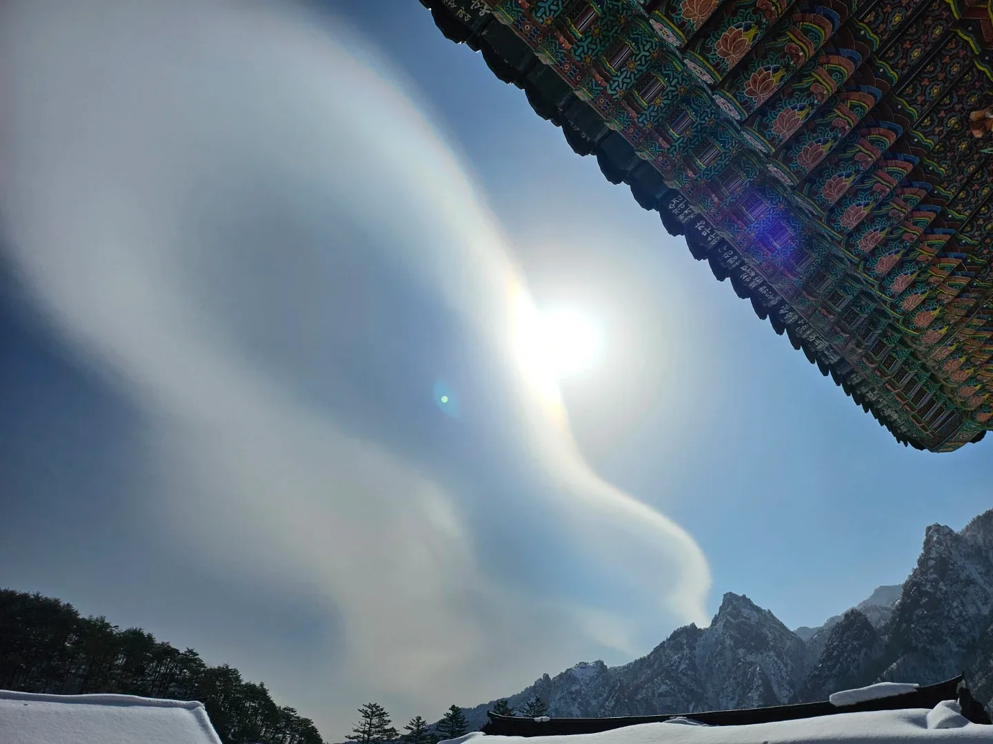 비다블루