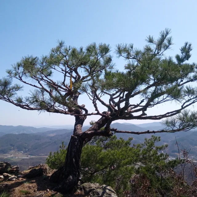 아이써티