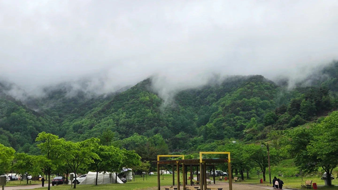 3남매맘