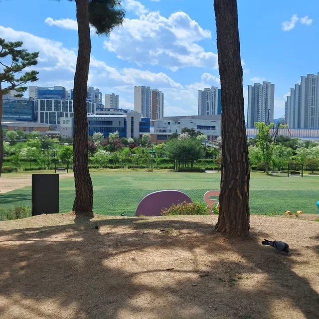 쇼쉬르라팡