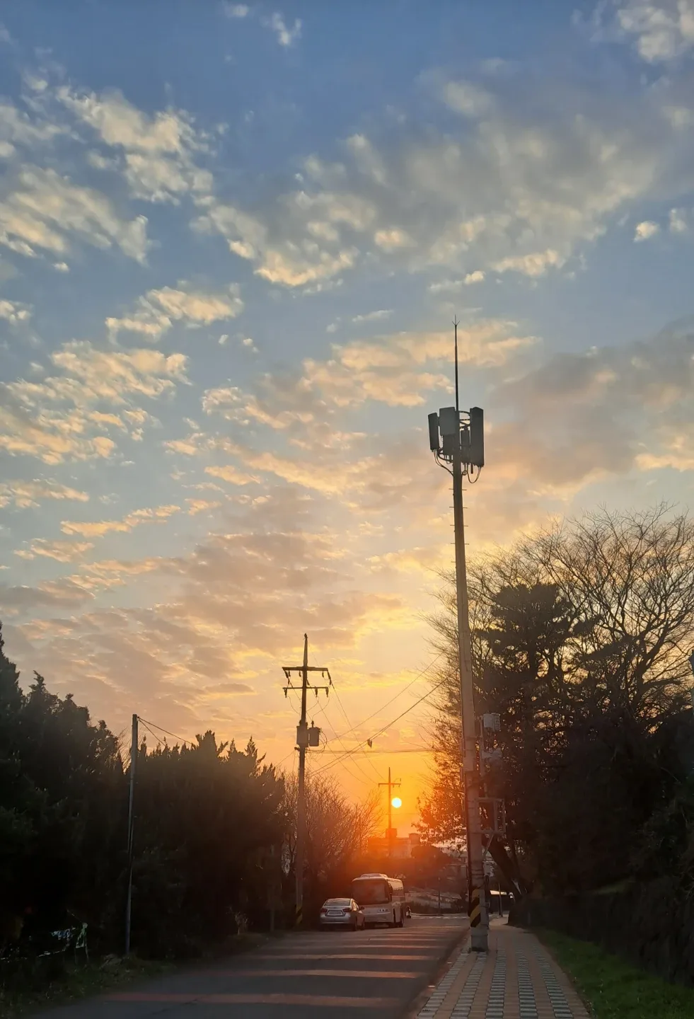 오로라민