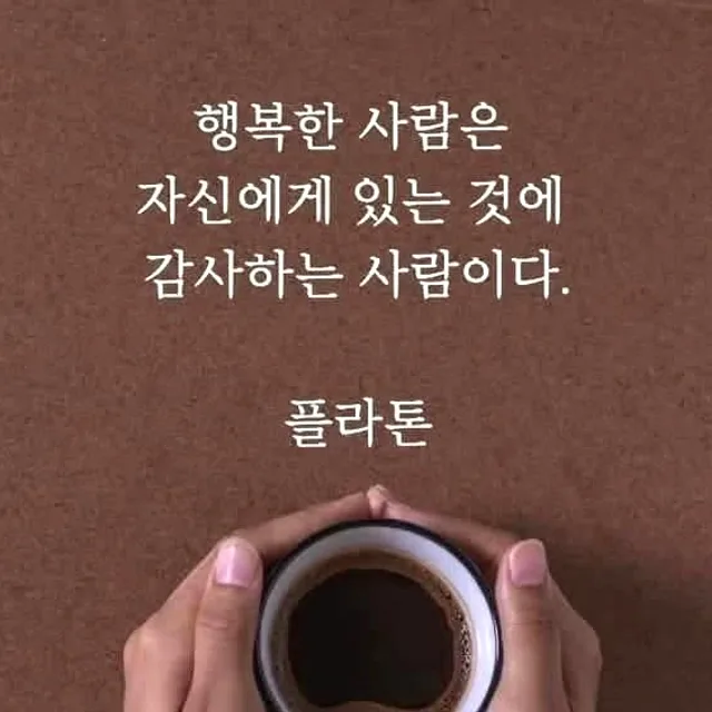 차칸사자