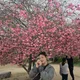 선성이