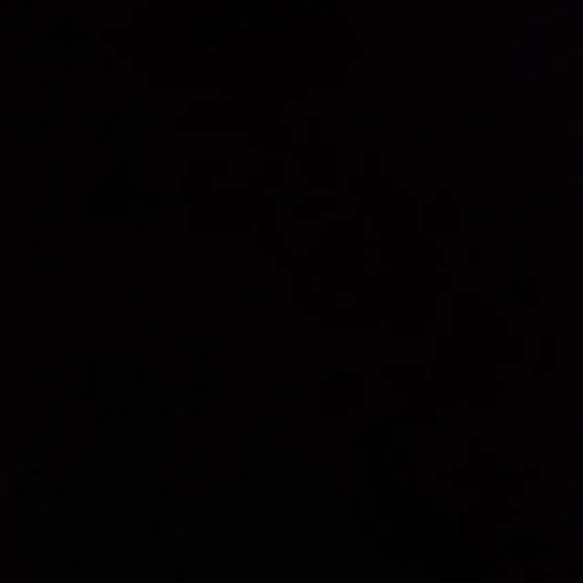 피카피카
