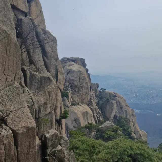 오록꼬