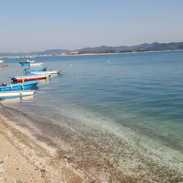 보리
