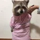 머리