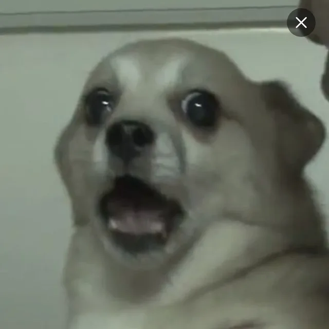 당근일당백