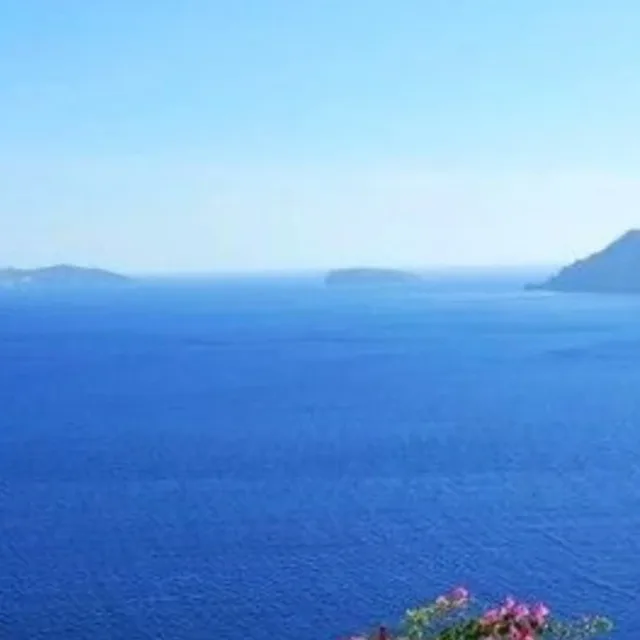 조조