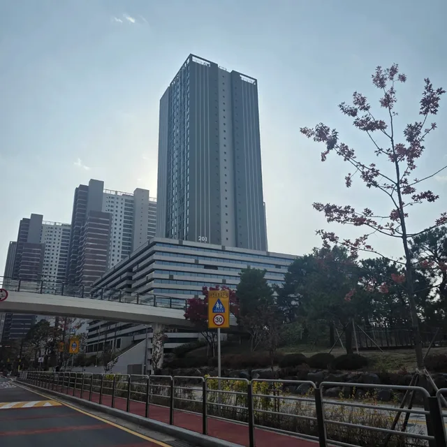 쭈니아빠