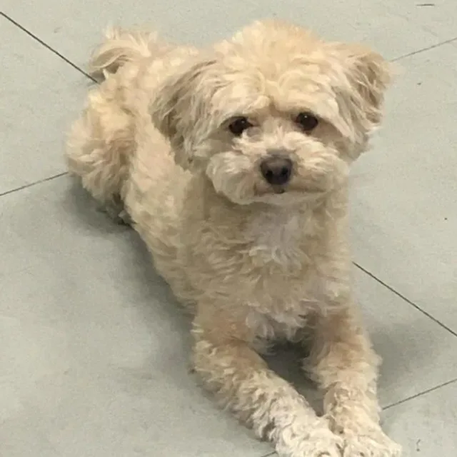 거져줄게잘사가